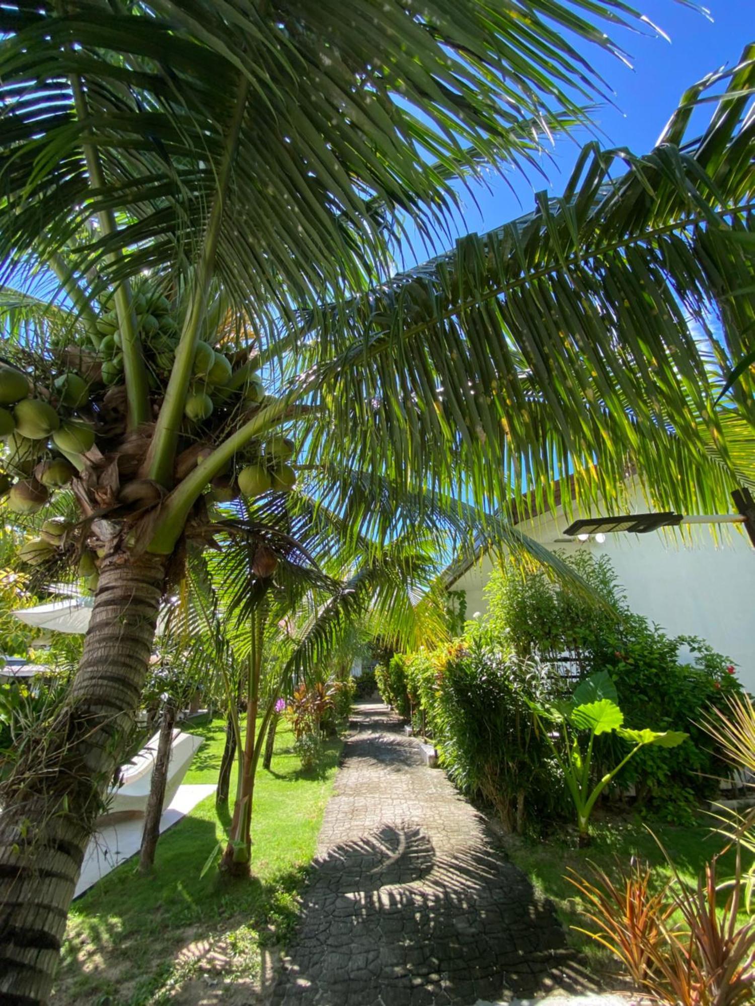Vivo Siargao Otel General Luna  Dış mekan fotoğraf