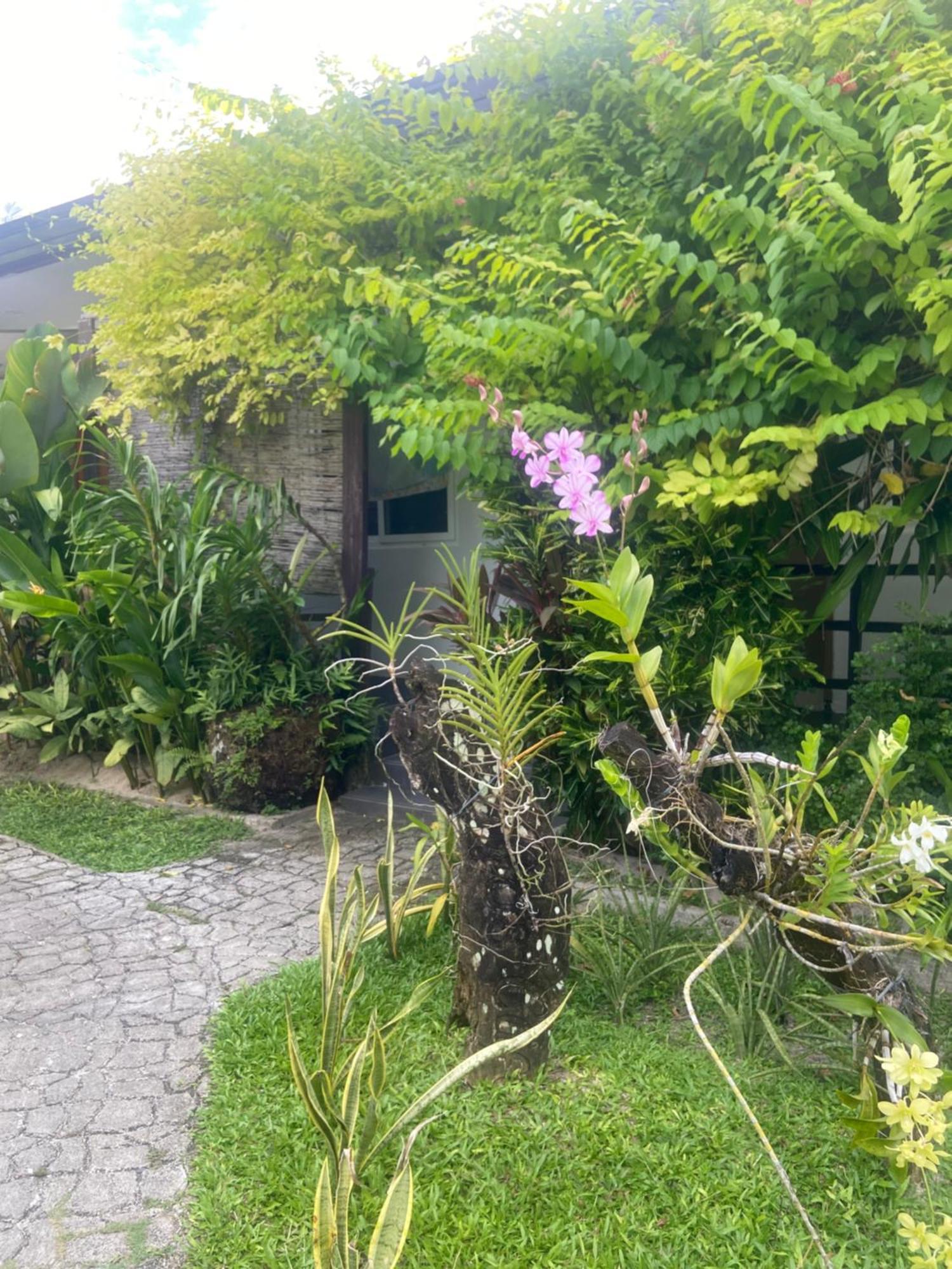 Vivo Siargao Otel General Luna  Dış mekan fotoğraf